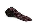 Brown Printed Silk Tie