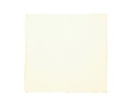 9-1/2" x 9-1/2" Off White Silk Handkerchief