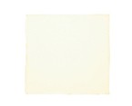 9-1/2" x 9-1/2" Off White Silk Handkerchief