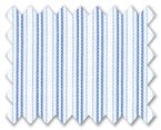 Zegna 100% Cotton White with Blue Stripe